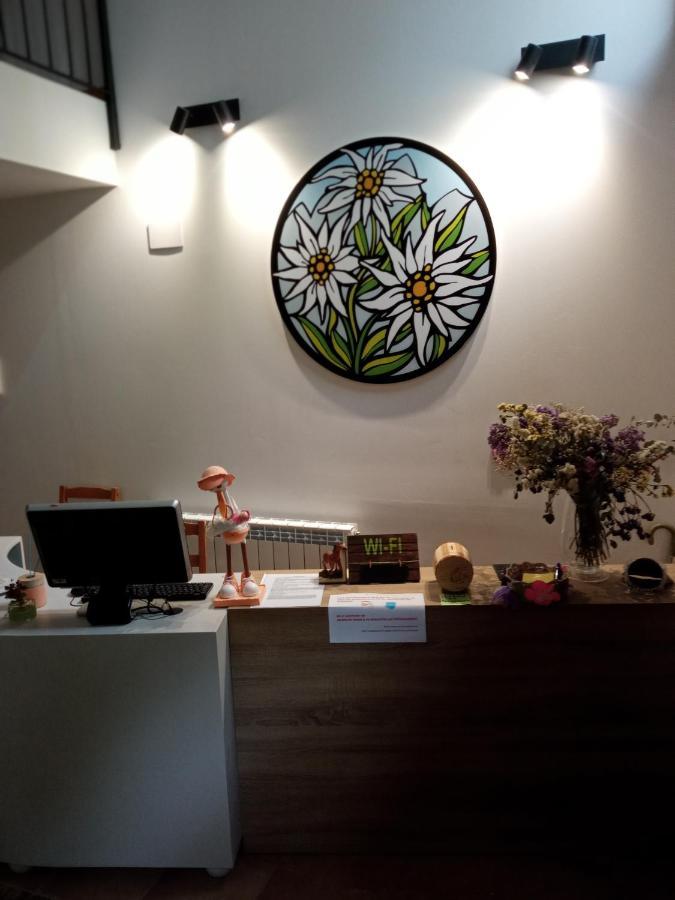 Nuevos Con Encanto Fio De Neu Apartment *