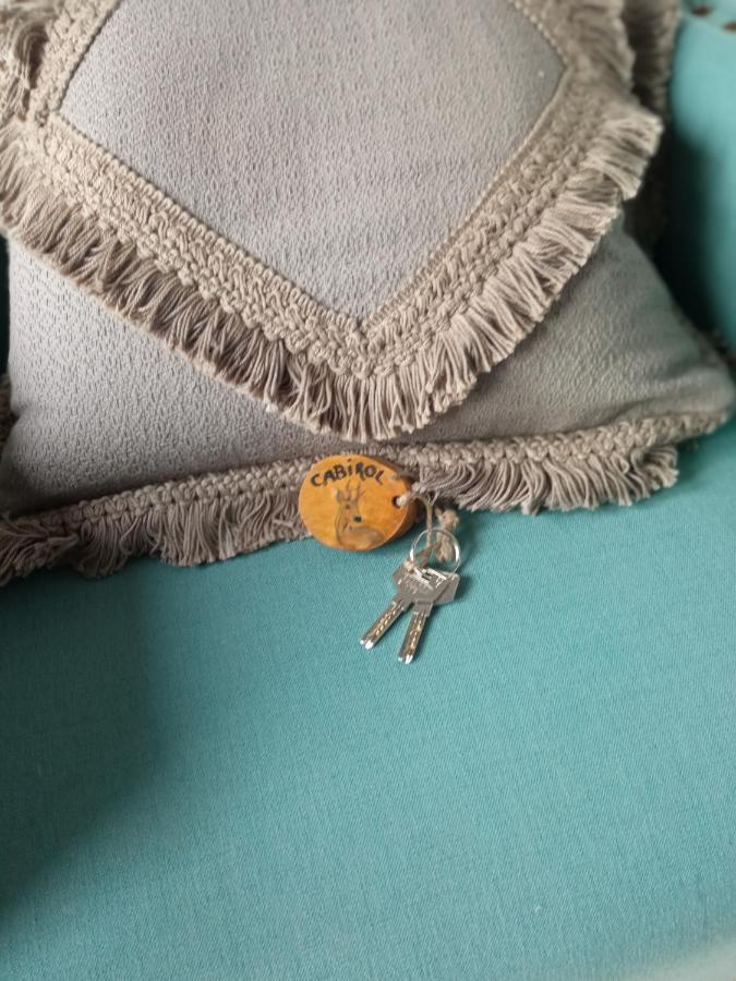 Nuevos Con Encanto Fio De Neu Apartamento