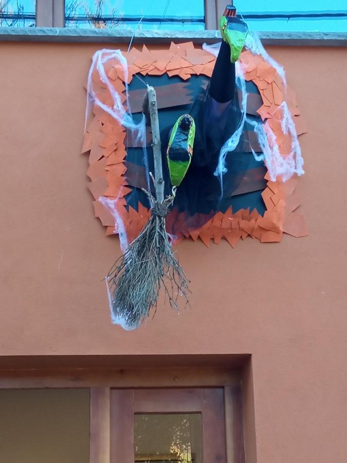 Nuevos Con Encanto Fio De Neu Apartamento *