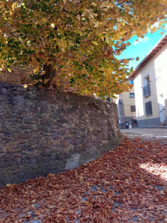 Apartament Nuevos Con Encanto Fio De Neu *
